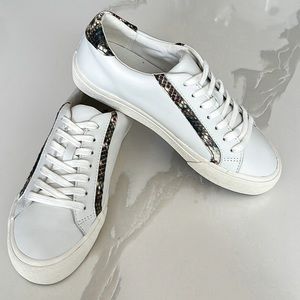 Madewell Sidewalk Snake Print White Leather Sneakers Women’s Sz 6.5 Medium